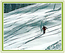 Skiing, Himachal Adventure Tourism