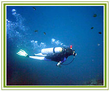 Scuba Diving, Water Sports in India