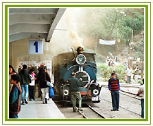Toy Train, North East Travel Vacations