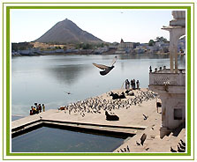 Pushkar Lake, Pushkar Tourism