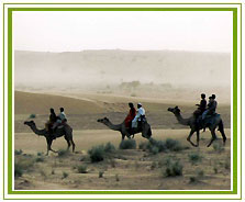 Thar Desert, Jaisalmer Tourism