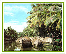 Backwater, Kollam Travel Vacations